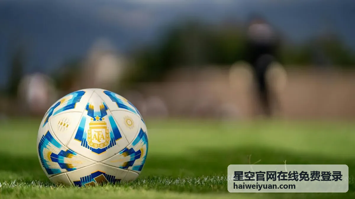 星空官网在线免费登录入口页面示意